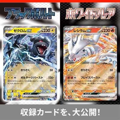 収録カードを、大公開！