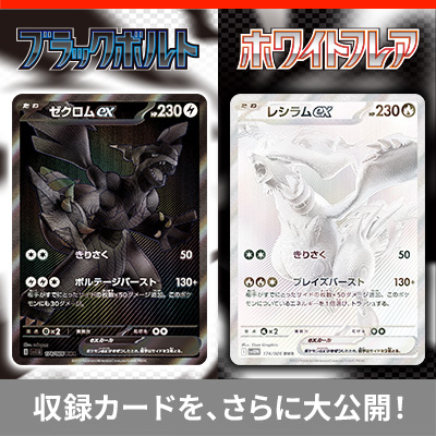 収録カードを、さらに大公開！