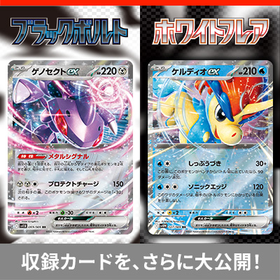 収録カードを、さらに大公開！